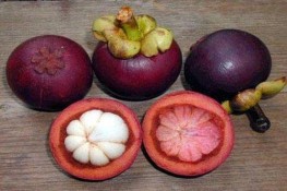 Gỏi Măng Cụt