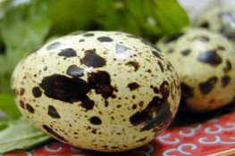 Trứng chim cút có hàm lượng dinh dưỡng cao