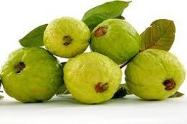 Vào bếp trị bệnh ho
