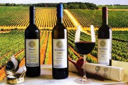 Italy - nước sản xuất rượu vang lớn nhất thế giới