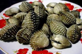 Phát triển chiều cao tối đa của trẻ khi "ăn'' đủ kẽm