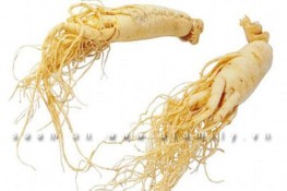 Tác dụng phụ tuyệt vời của nhân sâm