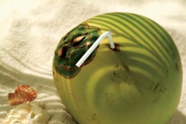 Dừa - món ăn giảm cân, làm đẹp