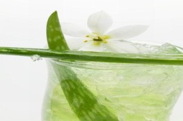 Tết này uống gì ngon?