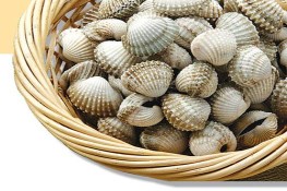 Những món ngon từ sò