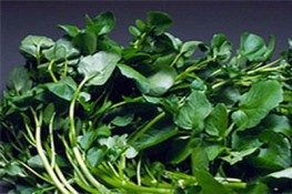 Các món ngon dễ làm từ cải xoong