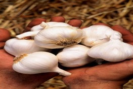 Thực phẩm không nên sử dụng thường xuyên
