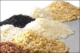 Những thực phẩm tăng cường trí não
