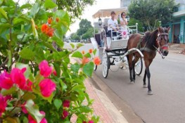 Văn hóa Cafe Buôn Mê Thuột: "Coffee tour"