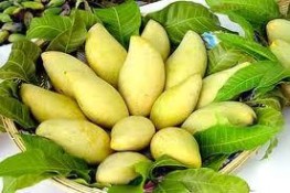 Những lợi ích từ quả xoài