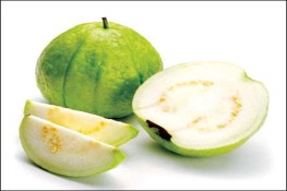 Quả ổi và công dụng chữa bệnh