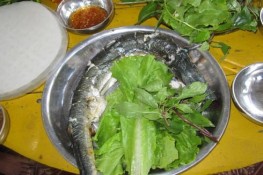 Cá xương xanh đặc sản đảo Hòn Nồm