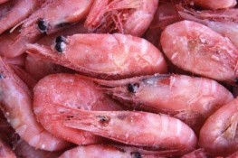 Ăn nhiều thực phẩm ướp lạnh tốt hay không tốt?