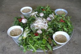 Thưởng thức những món gỏi cá ngon nhất trong ẩm thực Việt