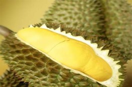 Công dụng tăng lực từ trái sầu riêng