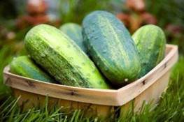 Quả họ dưa giúp bạn khỏe đẹp mỗi ngày
