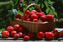 Tác dụng bất ngờ từ trái Táo