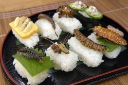 Côn trùng trong văn hóa ẩm thực thế giới