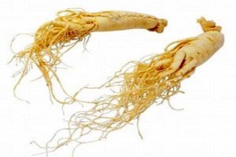 Bà bầu nên cẩn thận khi dùng "sâm"