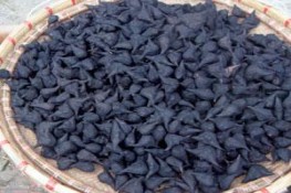 Chữa bệnh bằng củ ấu