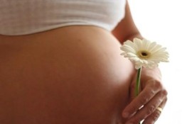 Dinh dưỡng cho bà bầu