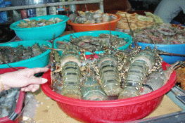 Hấp dẫn - Chợ hải sản Phú Quốc