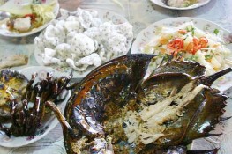 Sam và những món ngon từ sam