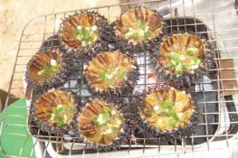 Thơm ngon món "nhum" của biển