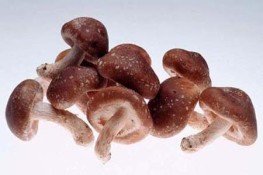 Phòng tránh ung thư phổi bằng thực phẩm tự nhiên