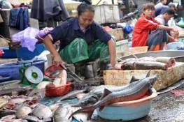 Thịt bẩn giữa lòng thủ đô