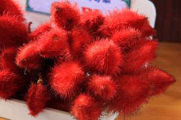 Thế giới quả siêu lạ trong lễ hội Trái cây Nam Bộ
