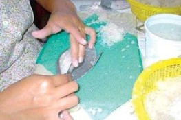Cận cảnh công nghệ chế biến yến sào giả