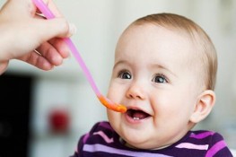 Cho bé ăn dặm có nên nêm mắm muối?
