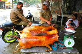 Món ăn "may mắn" hay "kinh dị"?