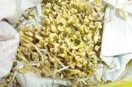 Vì sao cần thận trọng với giá đỗ?