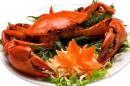 Bà bầu có nên ăn nhiều cua biển?