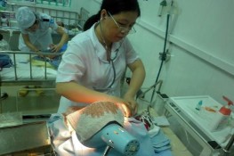 Bé sơ sinh sống lại sau khi bệnh viện trả về