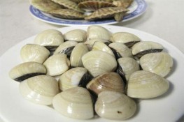 Ngao có thực sự tốt cho bà bầu?