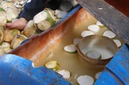 Chất tẩy trắng trái dừa làm ảnh hưởng hệ thần kinh