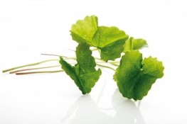 Chăm sóc da hiệu quả và rẻ tiền với... rau sống