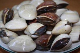 Cách làm sạch ngao, ốc hiệu quả