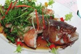 Cá mú đỏ Côn Sơn - Hương vị của biển