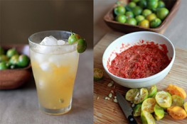 Hè này uống gì? - Quất, đá và xiro