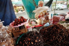 Đến Campuchia ăn món ngon từ Nhện