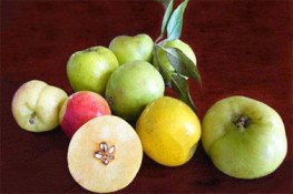 Bí quyết ngâm rượu Táo mèo ngon
