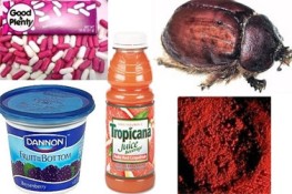 Đi tìm nguồn gốc của một số món ăn