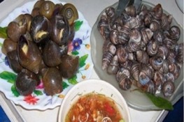Bí quyết để có món ốc ngon và sạch?