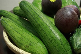 Không chỉ là ... mướp