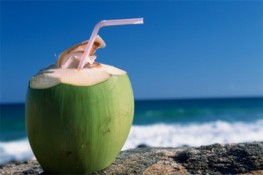 Công dụng của trái Dừa