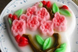 Các loại Rau Câu ngon
